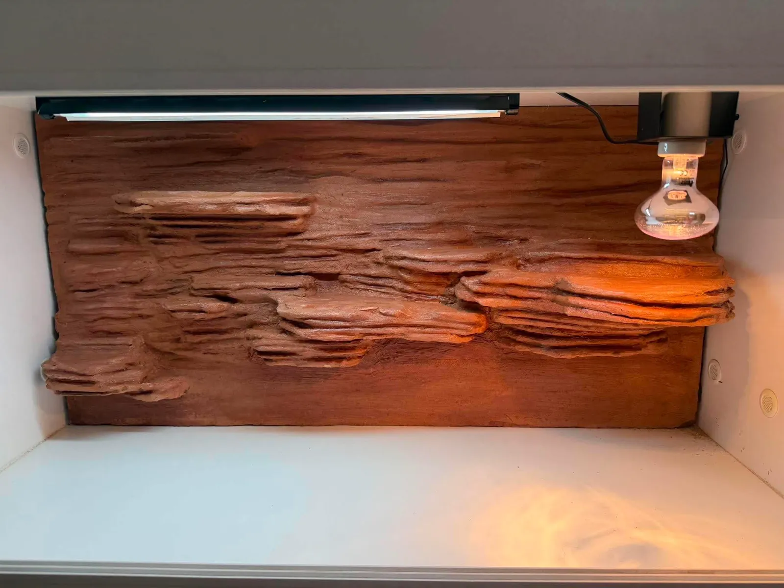 Finished four-foot layered-rock backdrop installed inside an enclosure