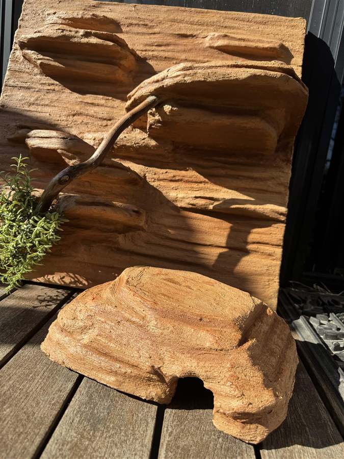 Warm close view of the custom backdrop with its matching bonus hide