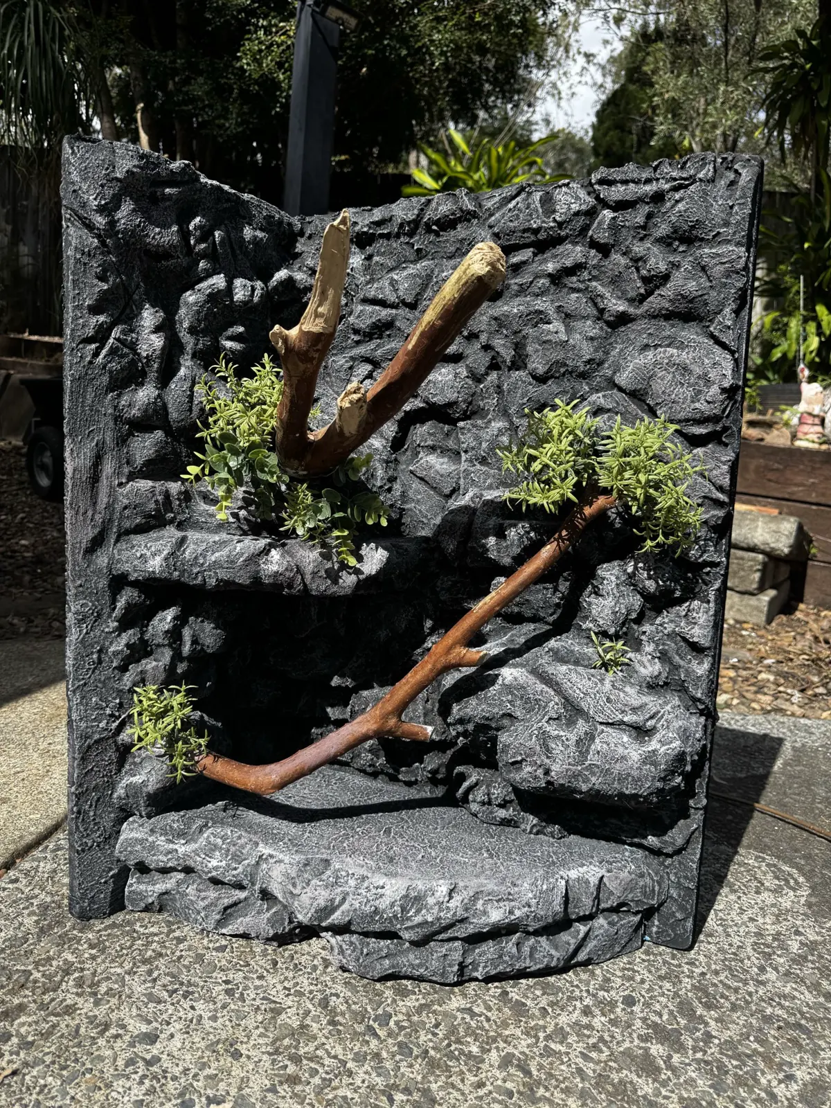 Finished black and grey corner backdrop for a Children’s python enclosure with branches, ledges and planting pockets