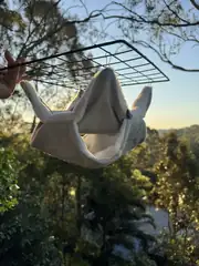 Side view of an Oddball-made hanging hide hammock showing the enclosed resting space.
